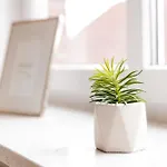 Apartman Grosszuegiges Wohlfuehlhaus Zwischen Stadt &